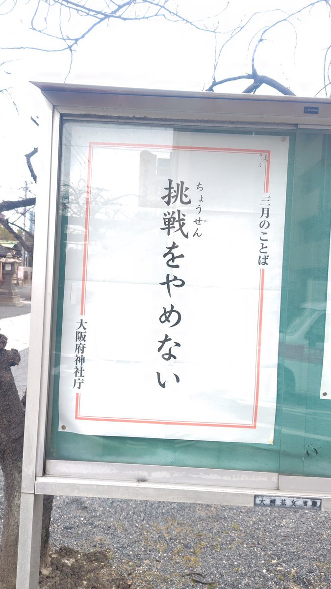 桜之宮公園
咲いてる桜を一輪見つけた