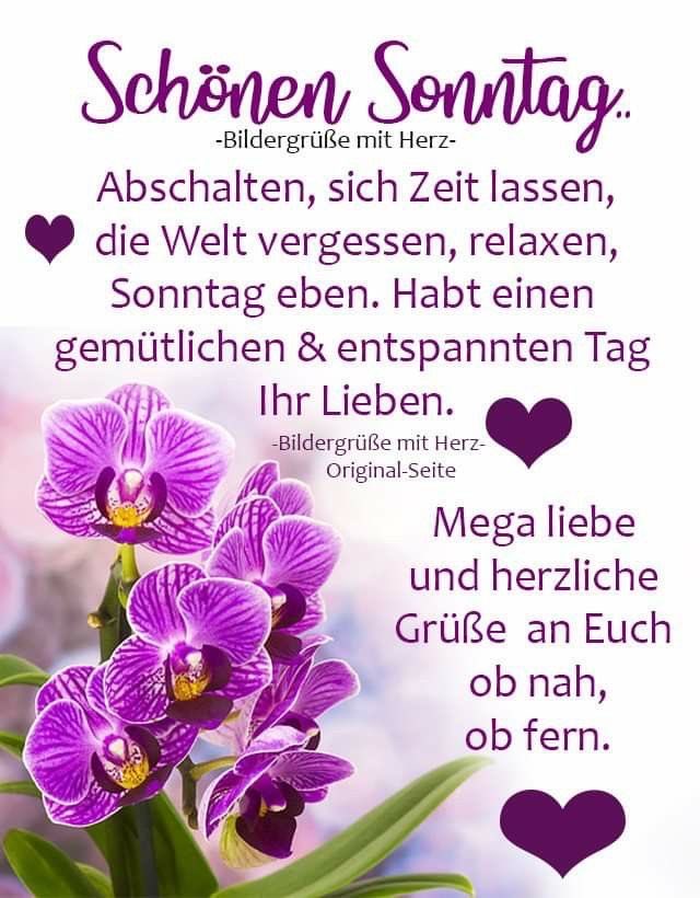 Demila Schröder tweet media