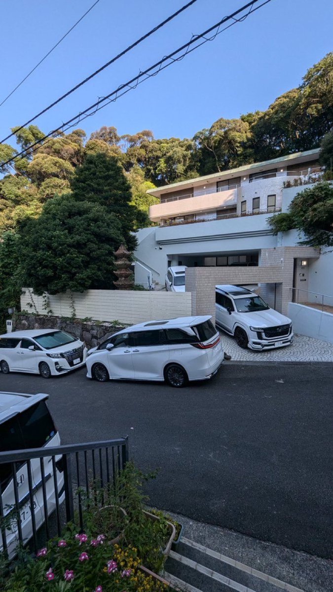 ずっと見ていたい動画 tweet media