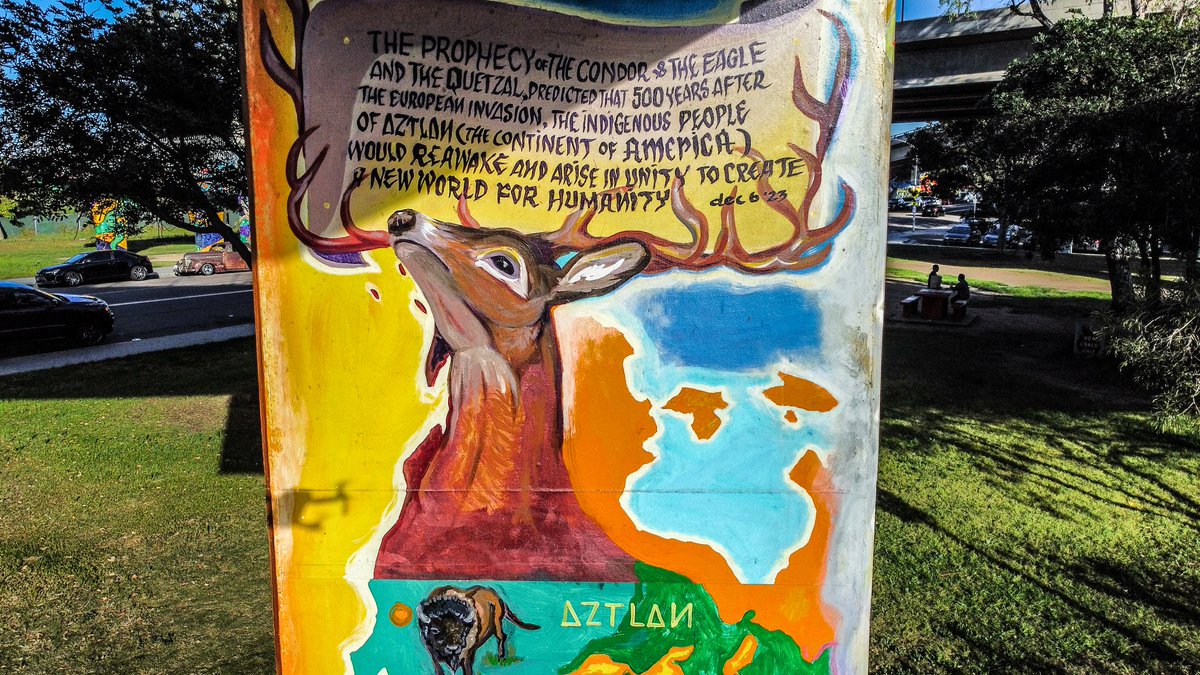 Based Taco 🌮 tweet media