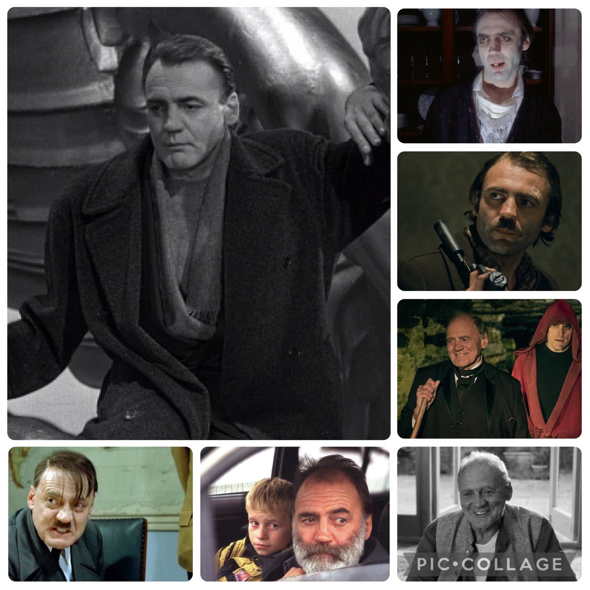 Ana Avellaneda tweet media