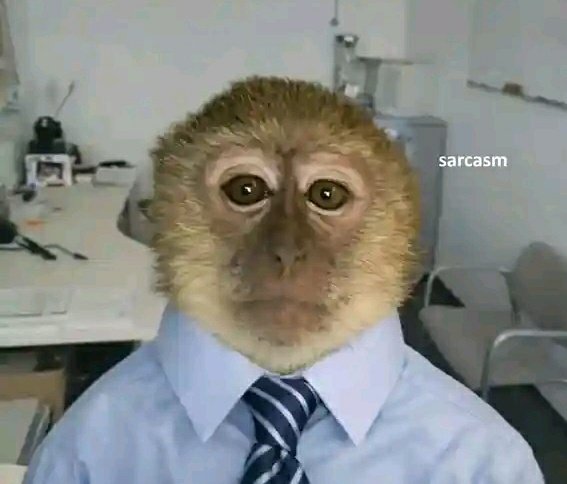 City boi ๐ tweet media