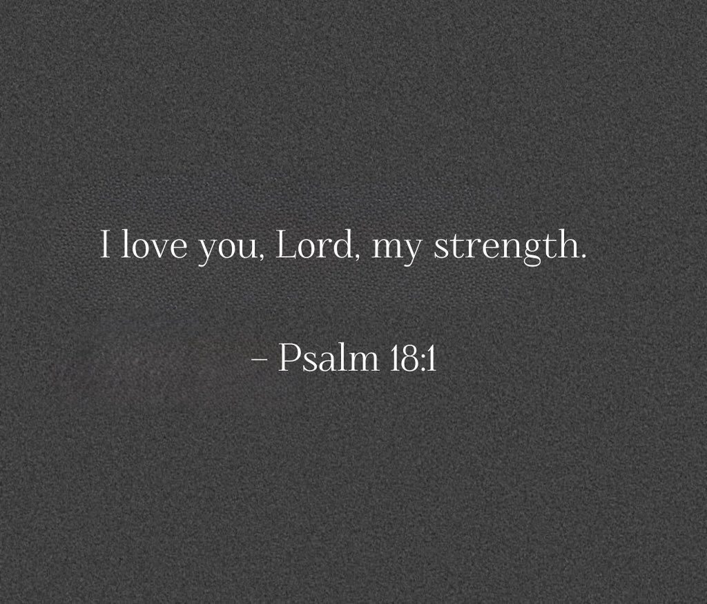 Holy Bible tweet media