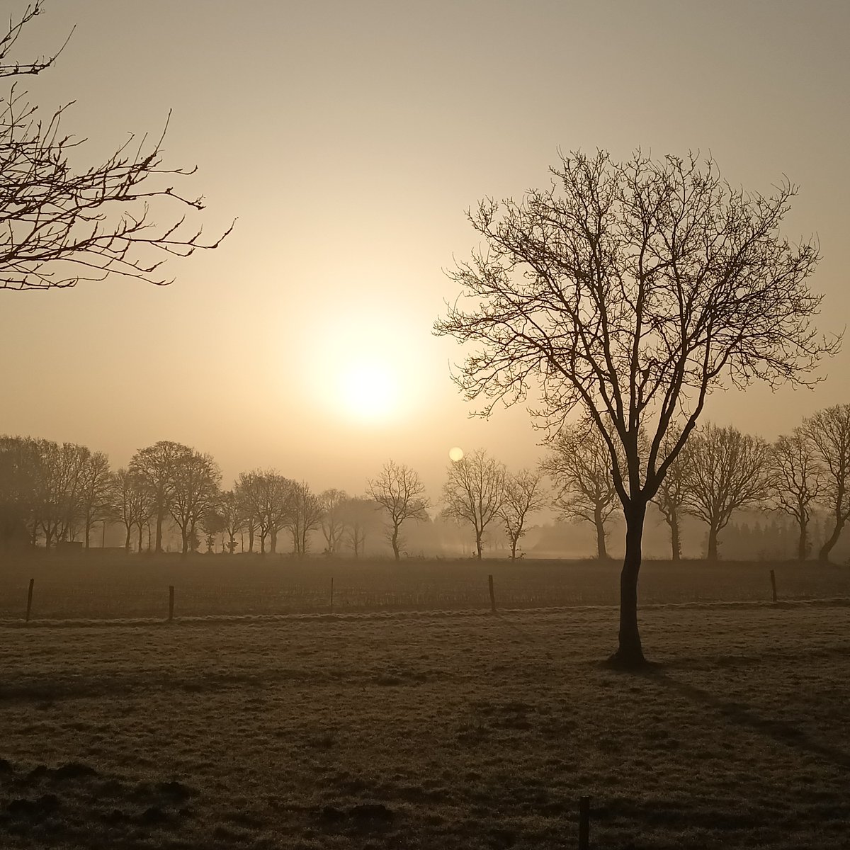 Katja R. tweet media