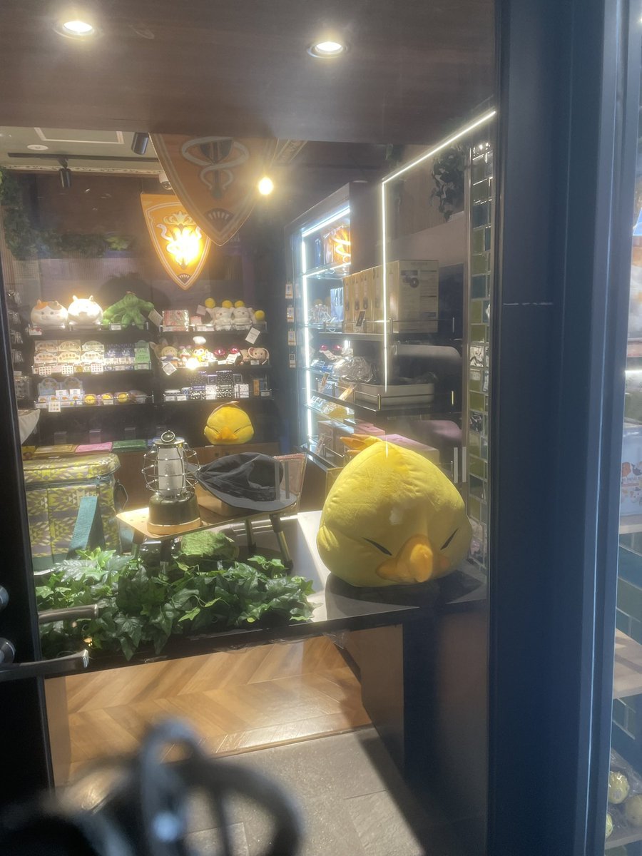 🐥Homare★ほまぴよ࡛࣪⋕🐣꒷ tweet media