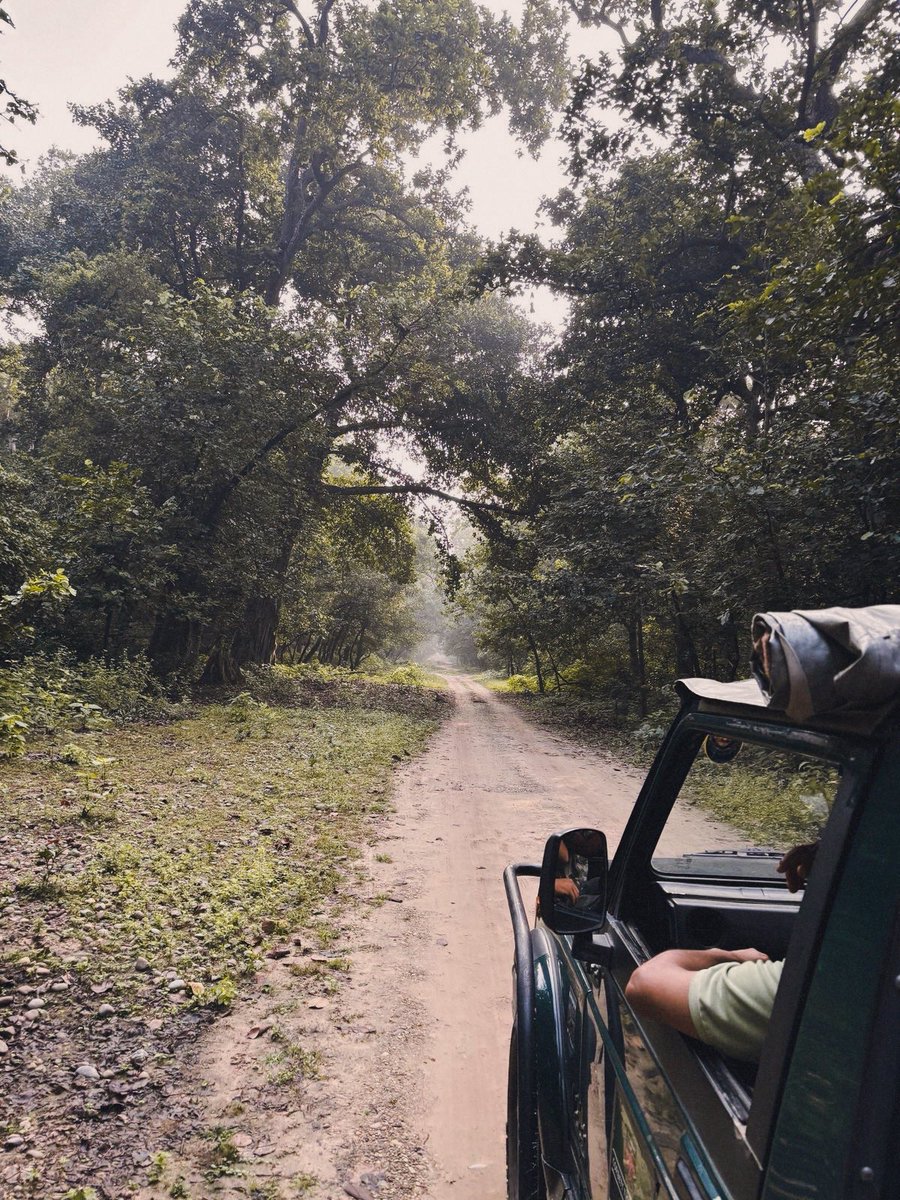 Sanjam Singh tweet media