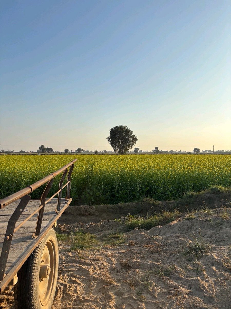 Sanjam Singh tweet media