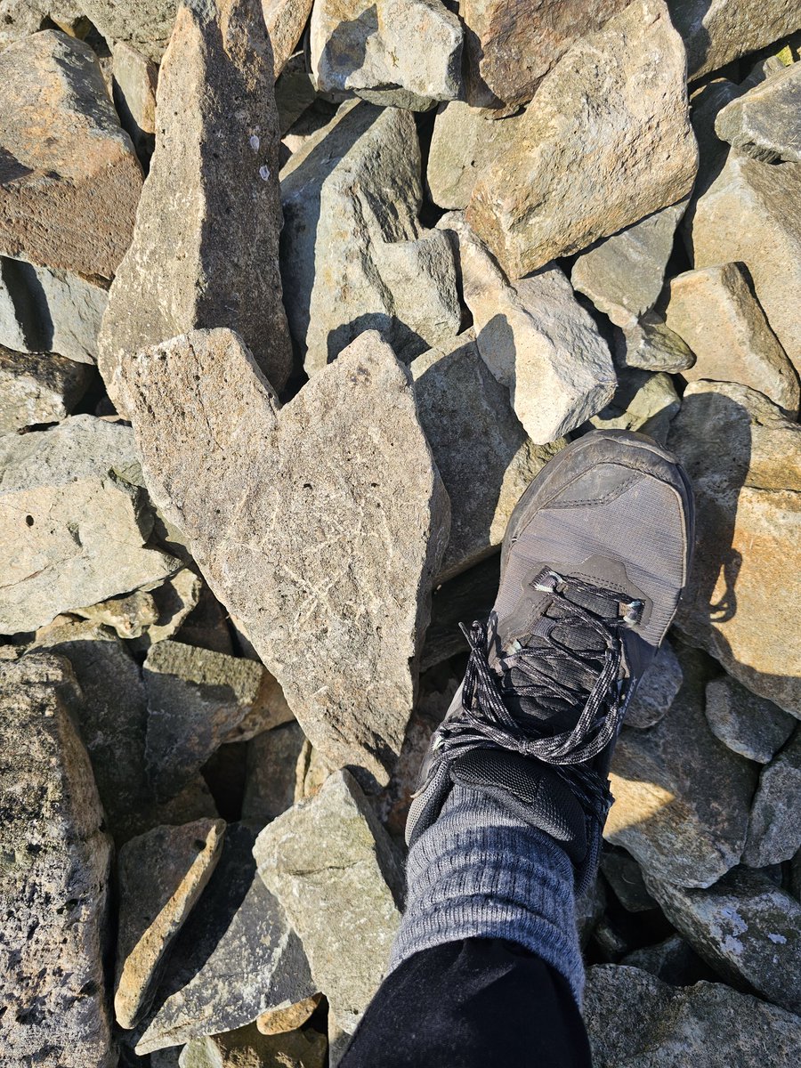 Leesa💫 tweet media