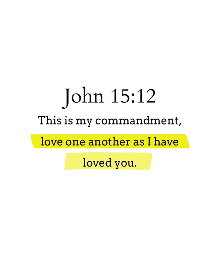 Bible 365 tweet media