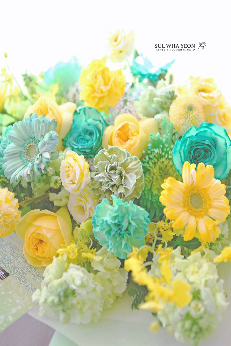 MY ONLY XIA tweet media