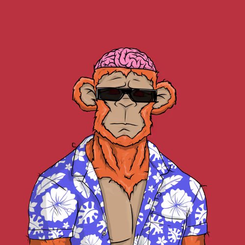 ORIGIN🅰️L cnicn🅰️c tweet media