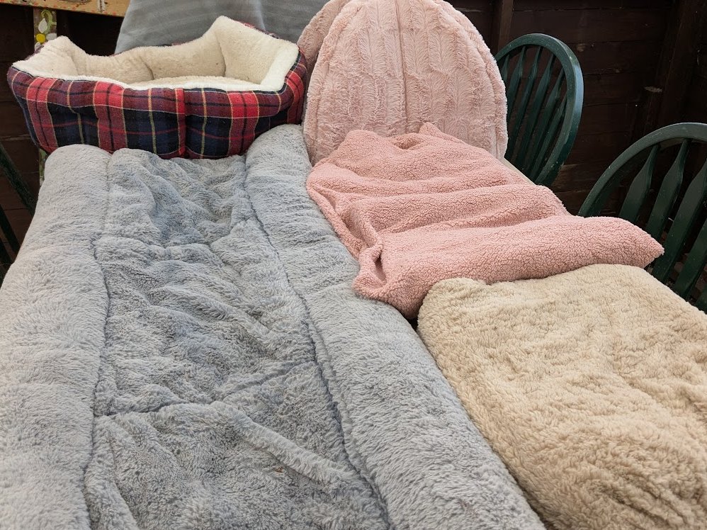 Robert Allotment cat,now helped by Janet & Amanda tweet media