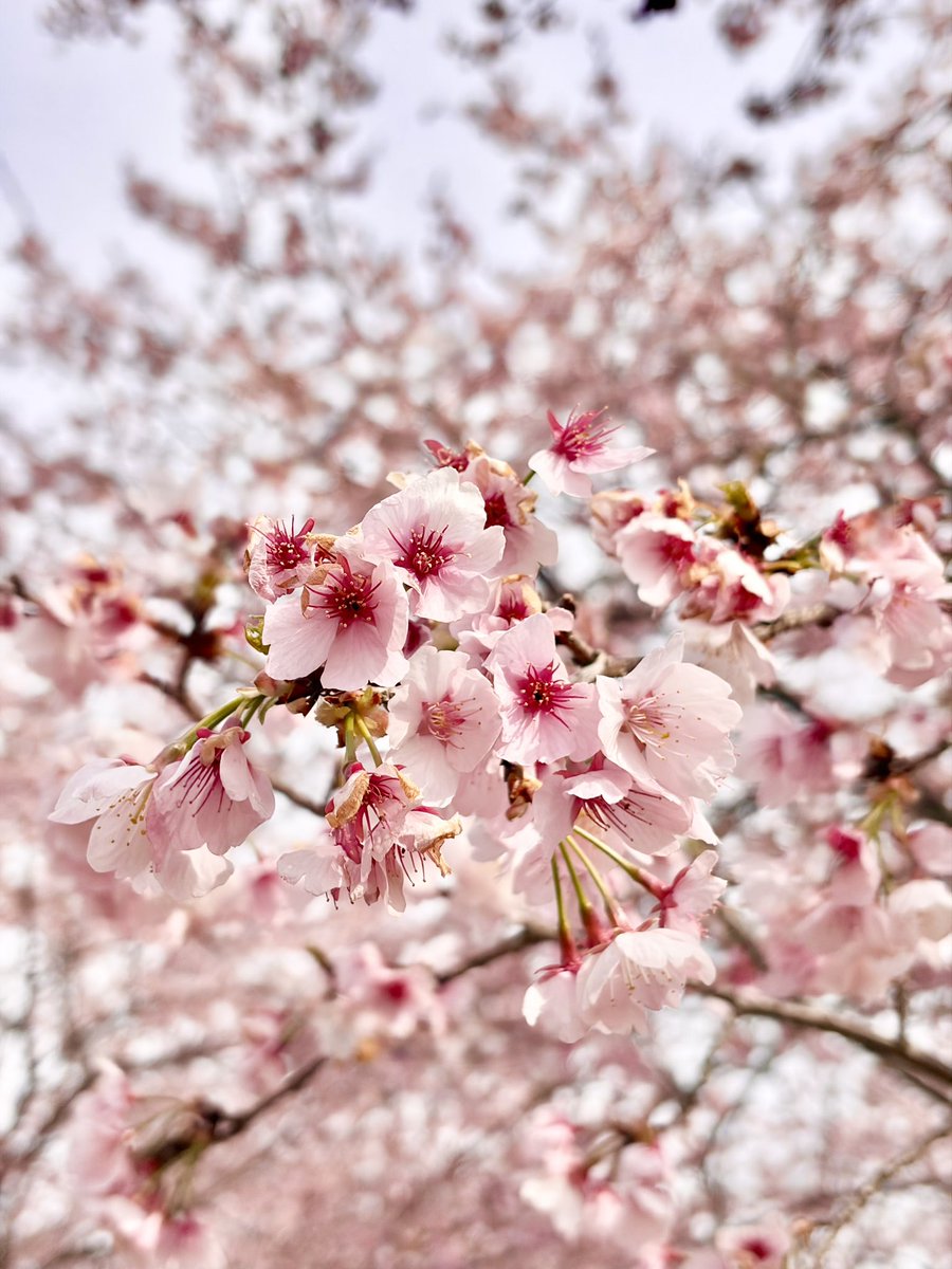 ずみさん tweet media