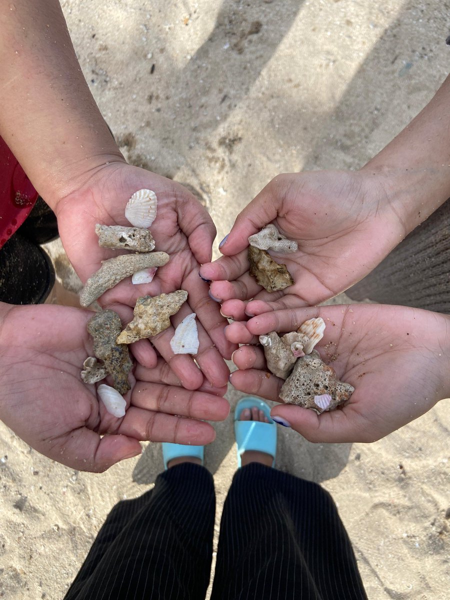 ౨ৎ ִֶָJe tweet media