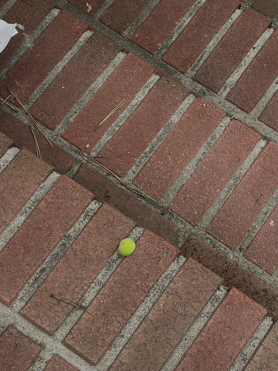 쉿무명 tweet media