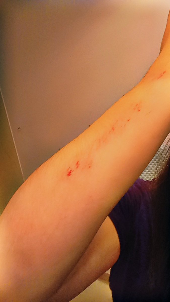 𓃠kiki𓃠🏳️‍⚧️ tweet media