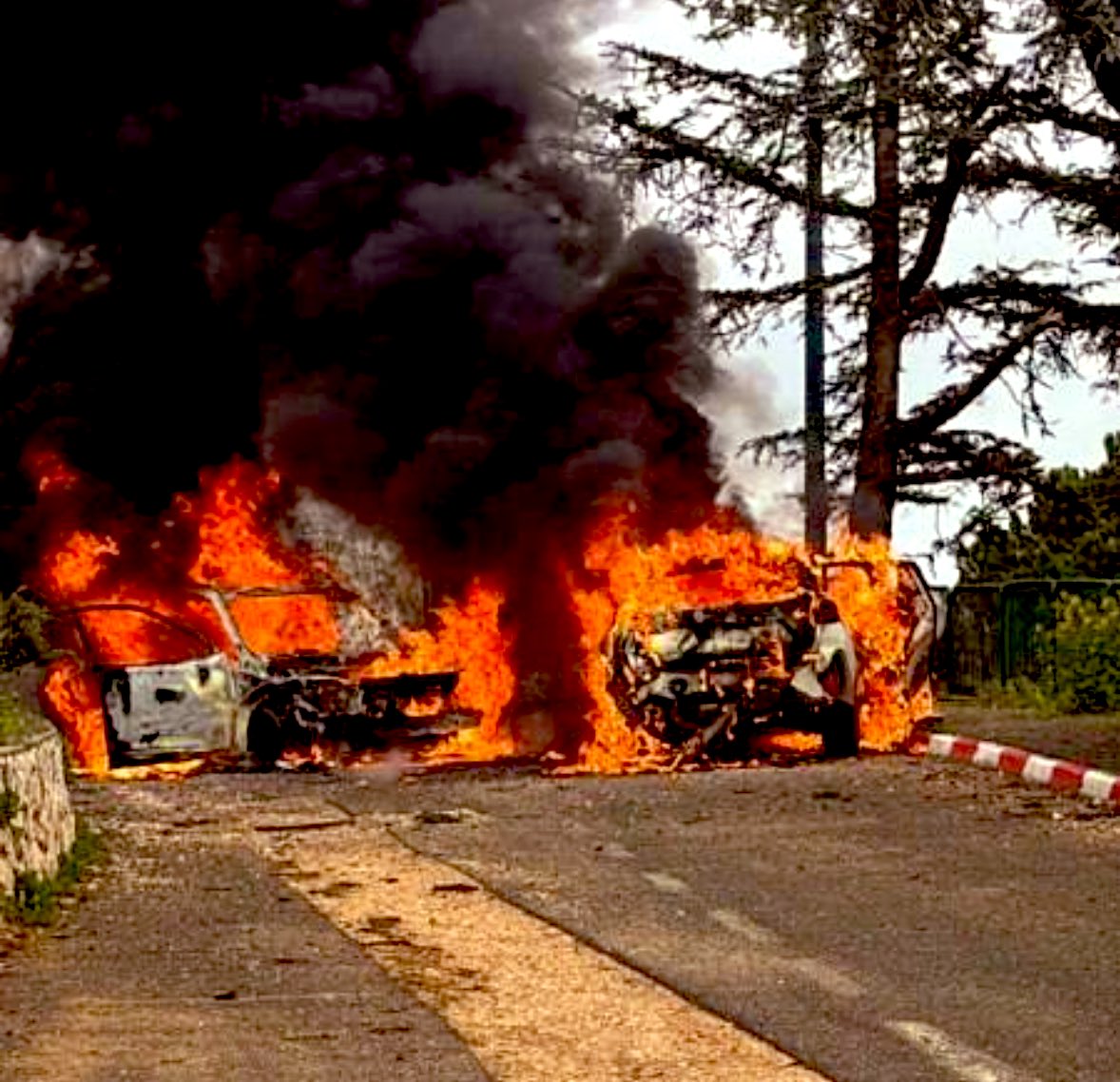 אבי דבוש tweet media