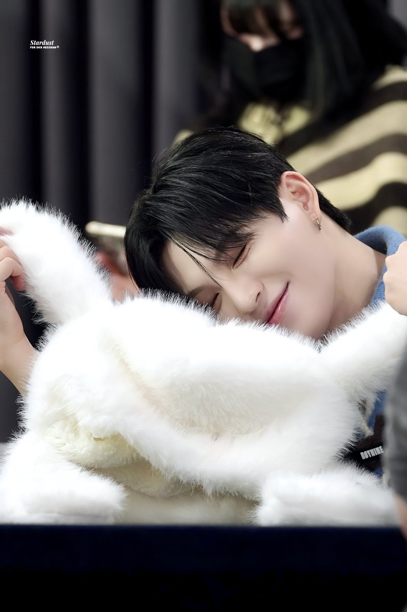 stardust tweet media