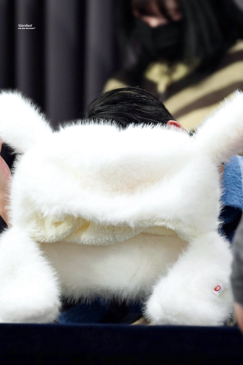 stardust tweet media