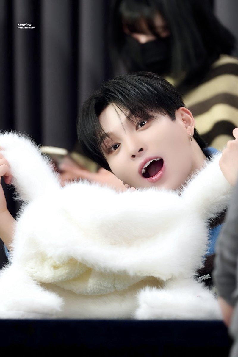 stardust tweet media