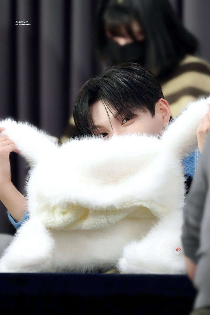 stardust tweet media