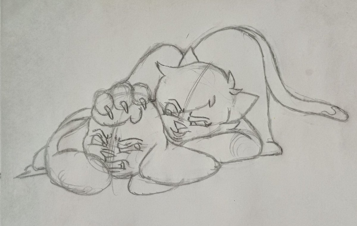 ✧Evelyn Mosqueda (❍ᴥ❍ʋ) #Mikie tweet media