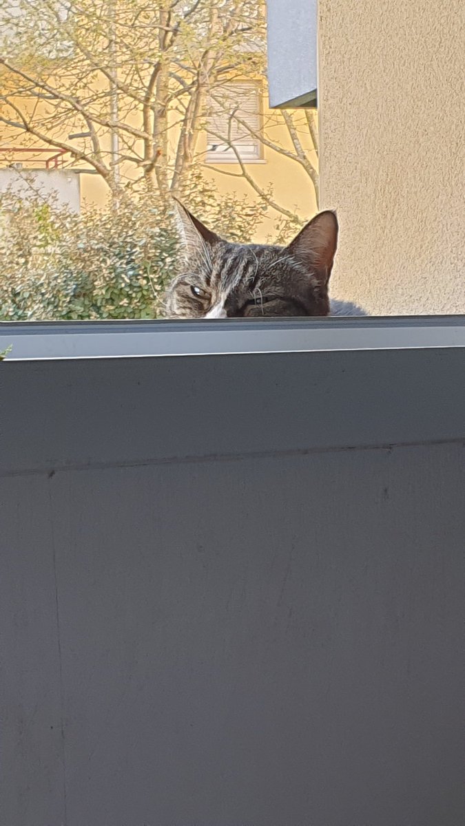 Michelle Brun tweet media