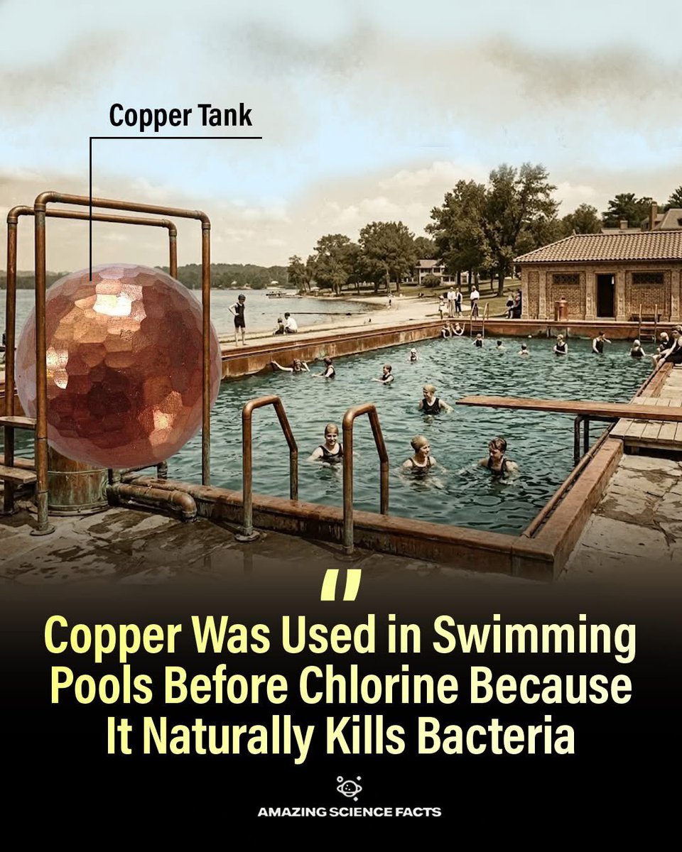 🧬Maxpein🧬 tweet media