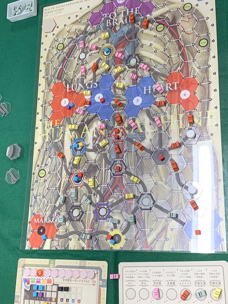 くろねこ tweet media