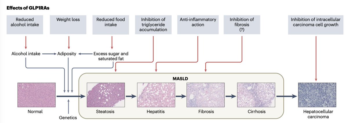 Diego A. Díaz-García tweet media