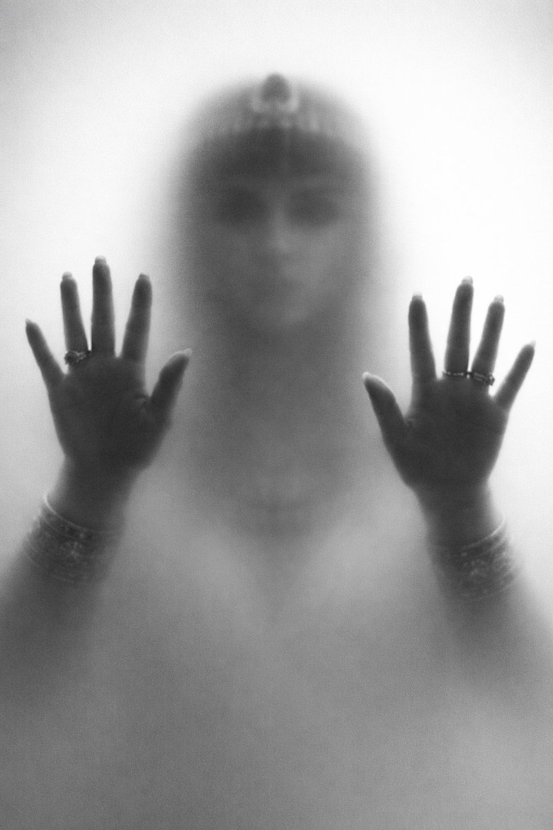 Quillshadow tweet media