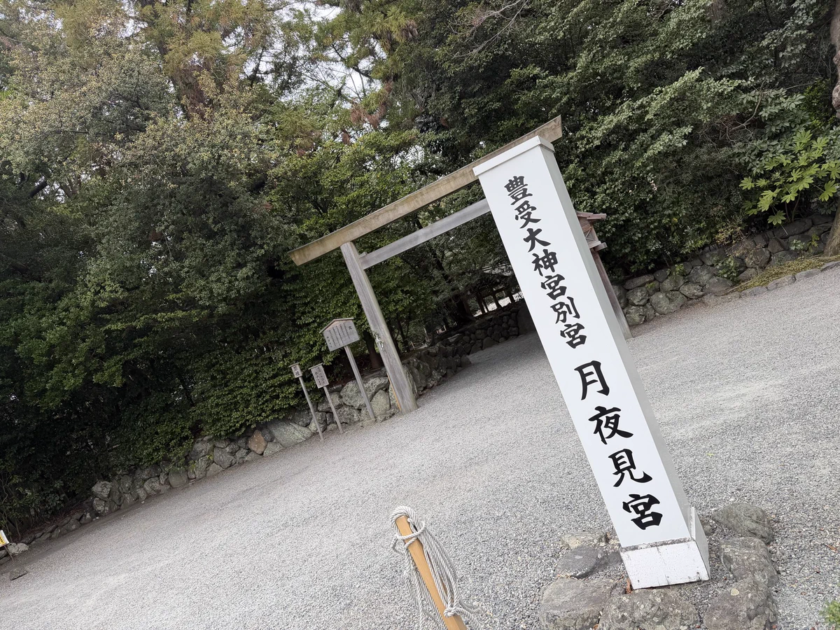 清水 沙樹 on X: 