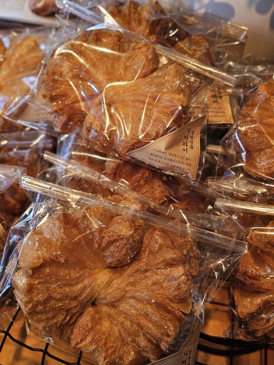 콩비니🐈🐱 tweet media