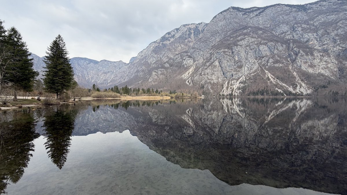 PortmannCarrick's tweet image. calm reflection
#lake #peace
