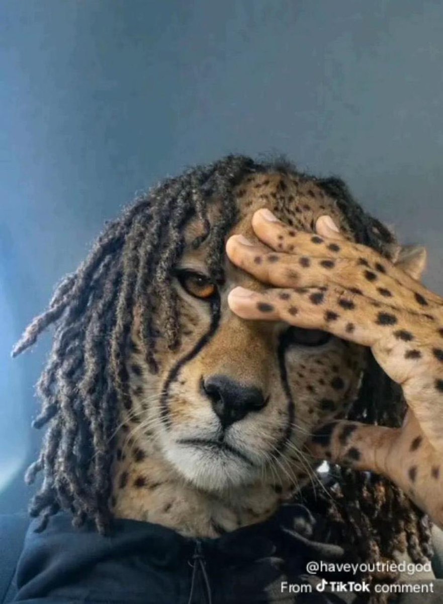 Retired Elder Rex M.E Midzi tweet media