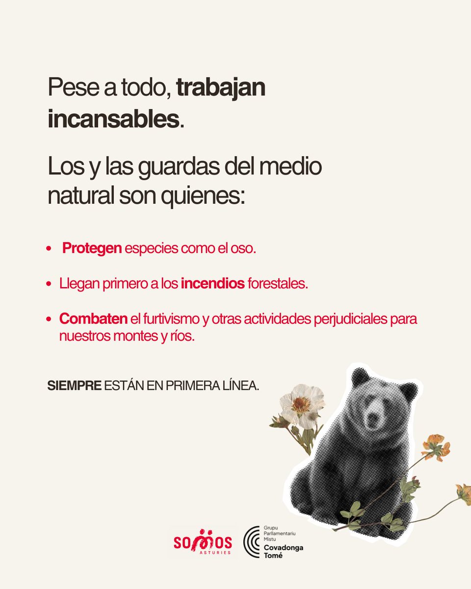 Cova Tomé tweet media