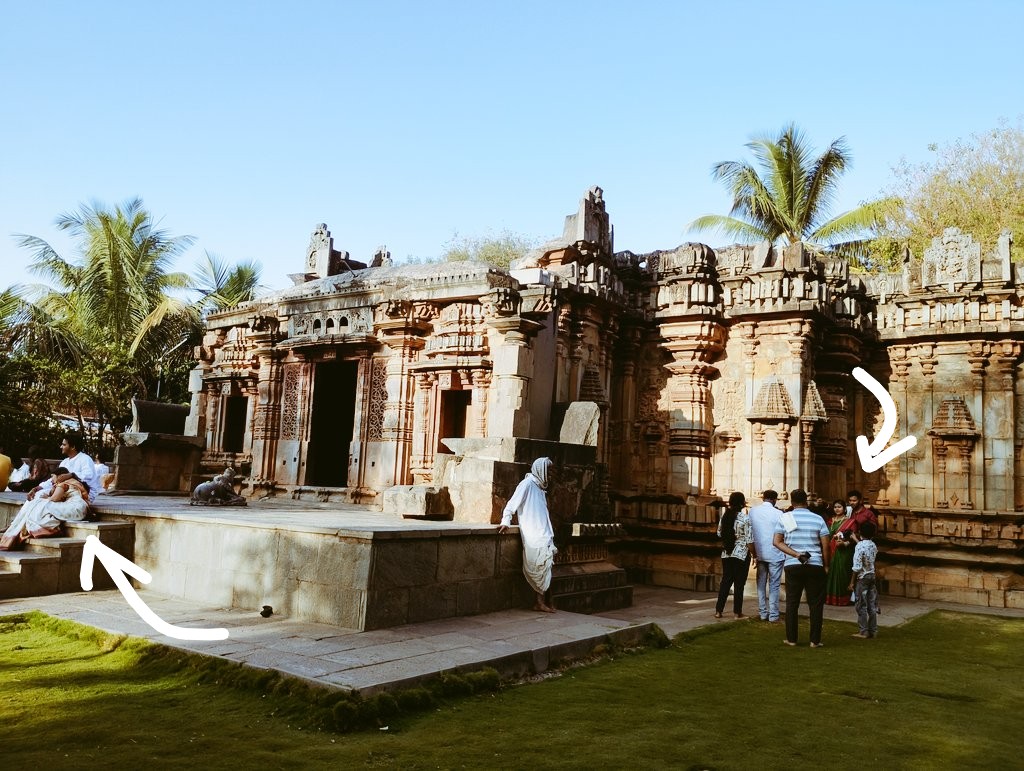 Captain Quack Sparrow tweet media