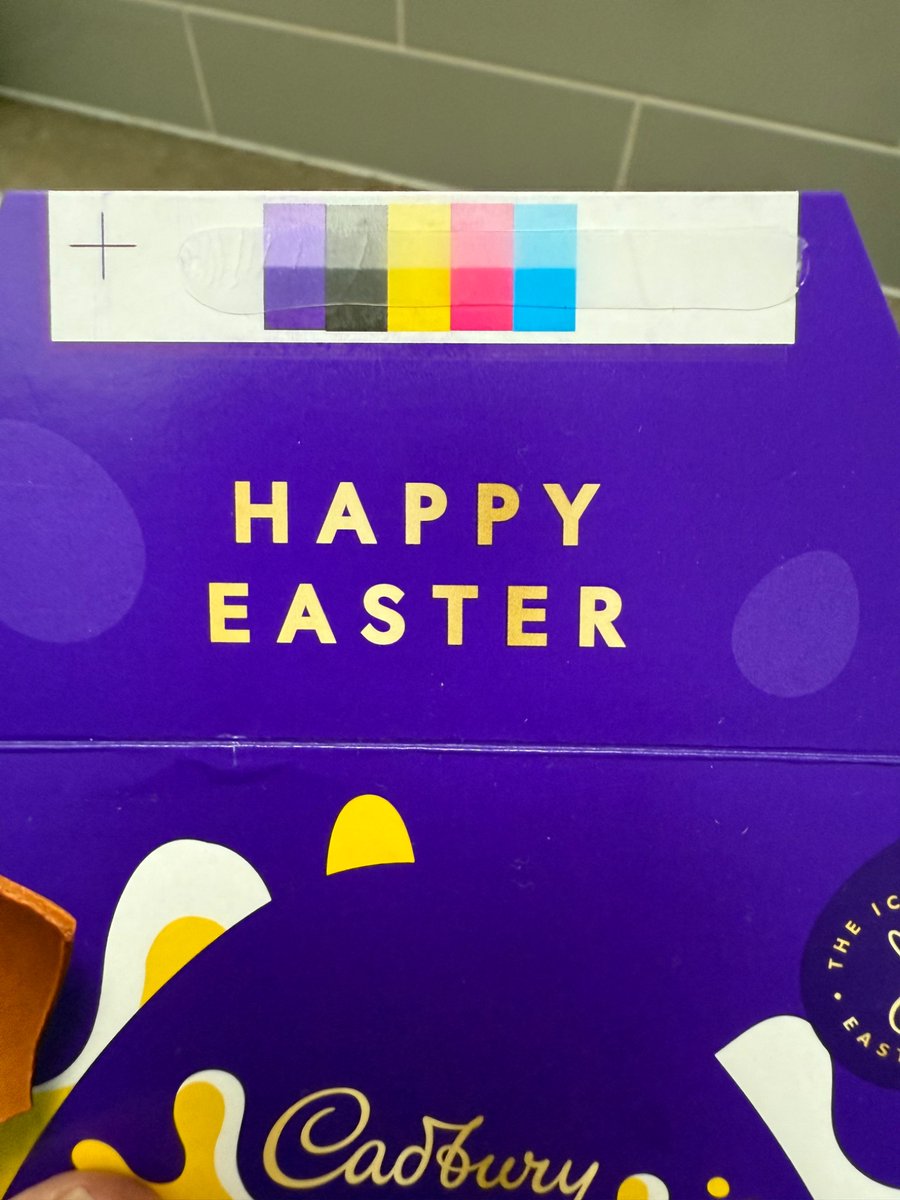 Sam Wolf tweet media