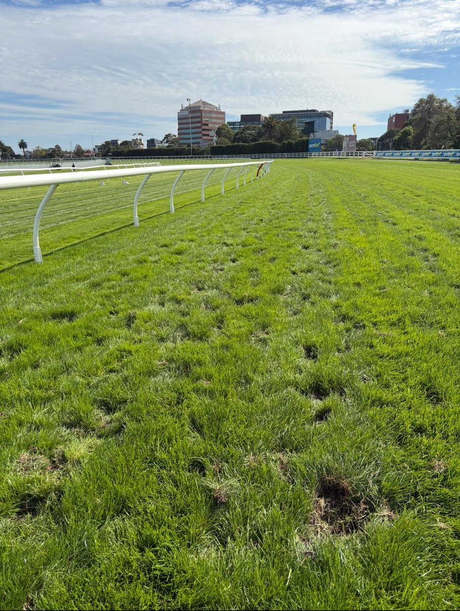 Jackson Oldham tweet media