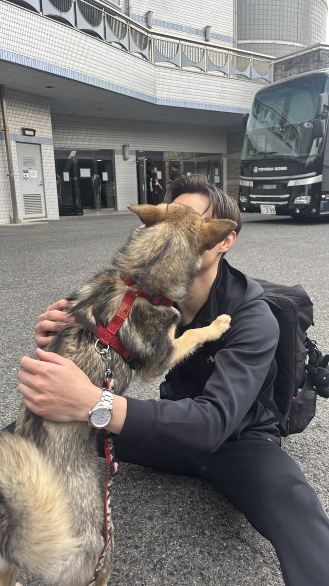 髙橋藍(Ran Takahashi) tweet media