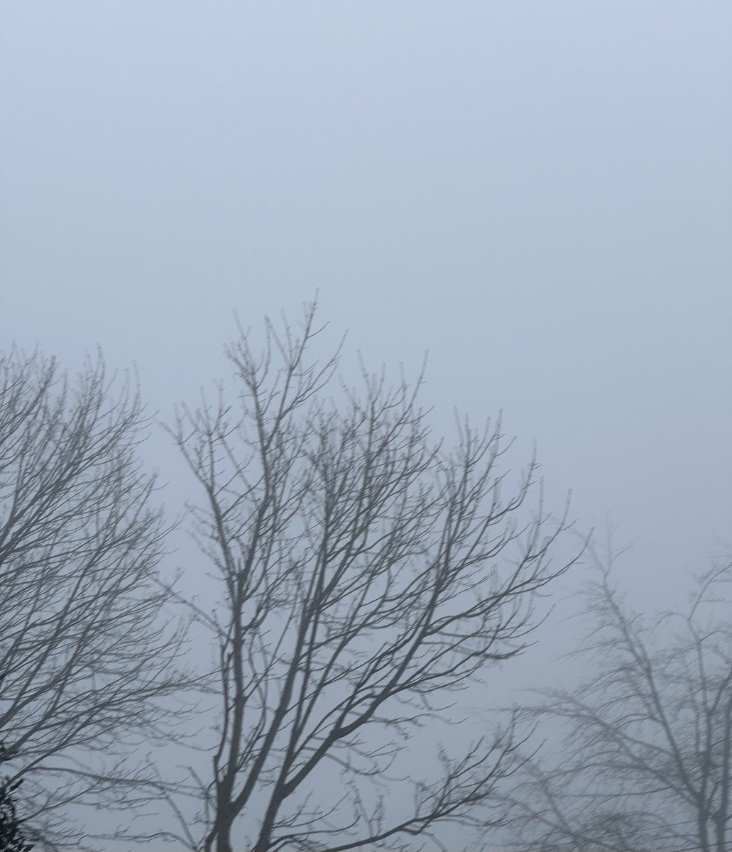 Debi Evans tweet media