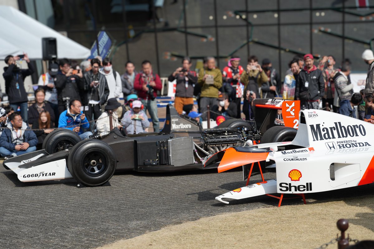 ぴょんきち🐰 tweet media