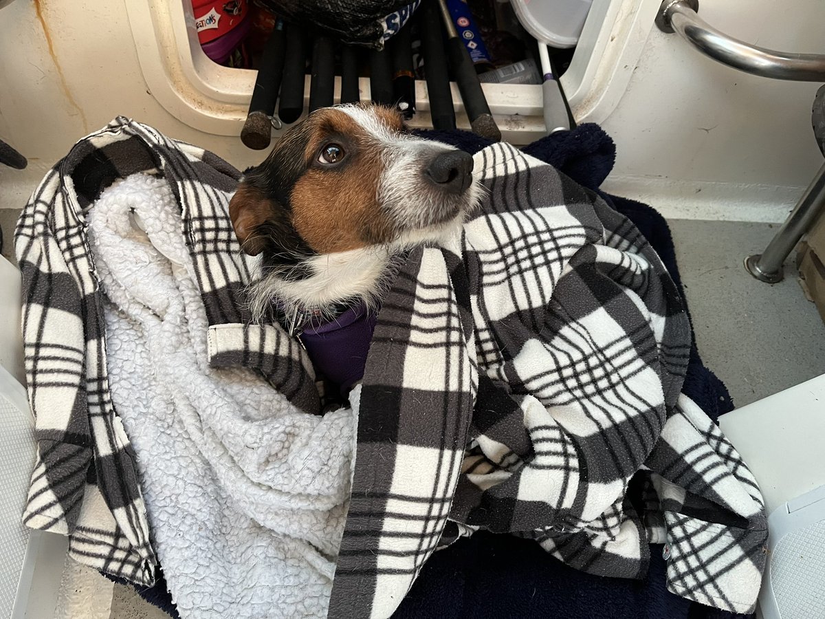 Annie Gilbert tweet media