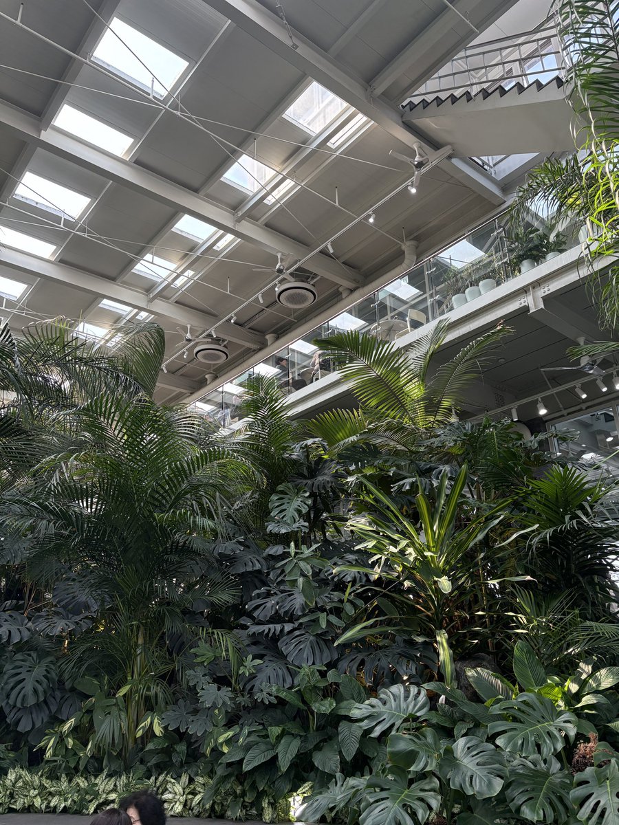 오퍼레이터 K tweet media