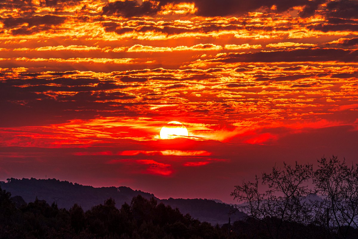 santquintimeteo's tweet photo. Buenos días, #salidadelsol hoy medio nubosa con #rayoscrepusculares, mínima de 2.3º. @tiempobrasero @Tiempo_Mercedes @HimarGonzalez @marcredondo @MeteoredES @RosaliaFdz @AEMET_Cat @ame_asociacion @lasextameteo https://t.co/F9vnfVJYtm