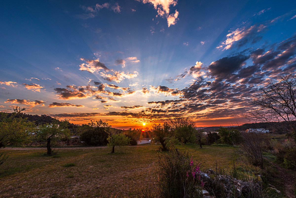 santquintimeteo's tweet photo. Buenos días, #salidadelsol hoy medio nubosa con #rayoscrepusculares, mínima de 2.3º. @tiempobrasero @Tiempo_Mercedes @HimarGonzalez @marcredondo @MeteoredES @RosaliaFdz @AEMET_Cat @ame_asociacion @lasextameteo https://t.co/F9vnfVJYtm
