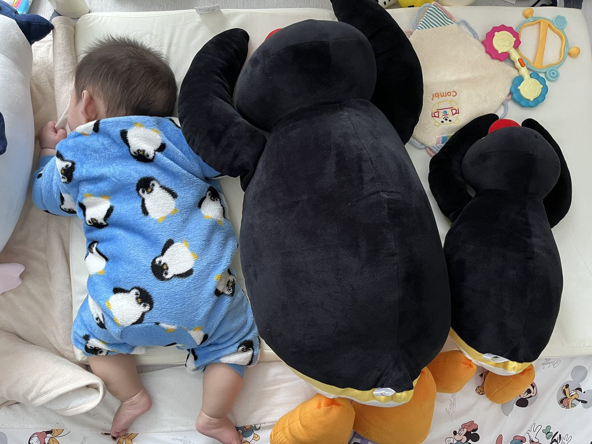 すーちゃん🔴⚫️ tweet media