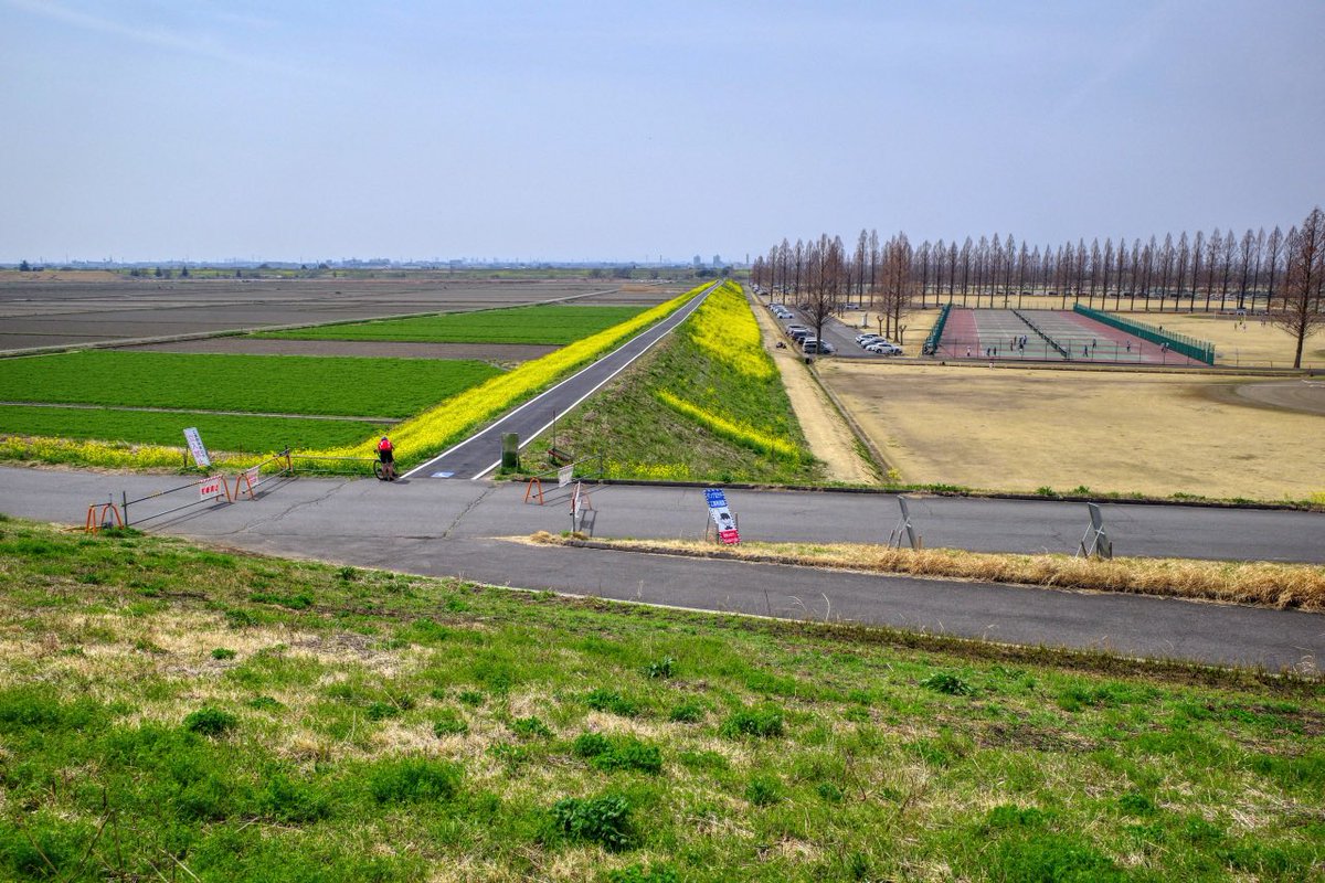 うなくーる tweet media