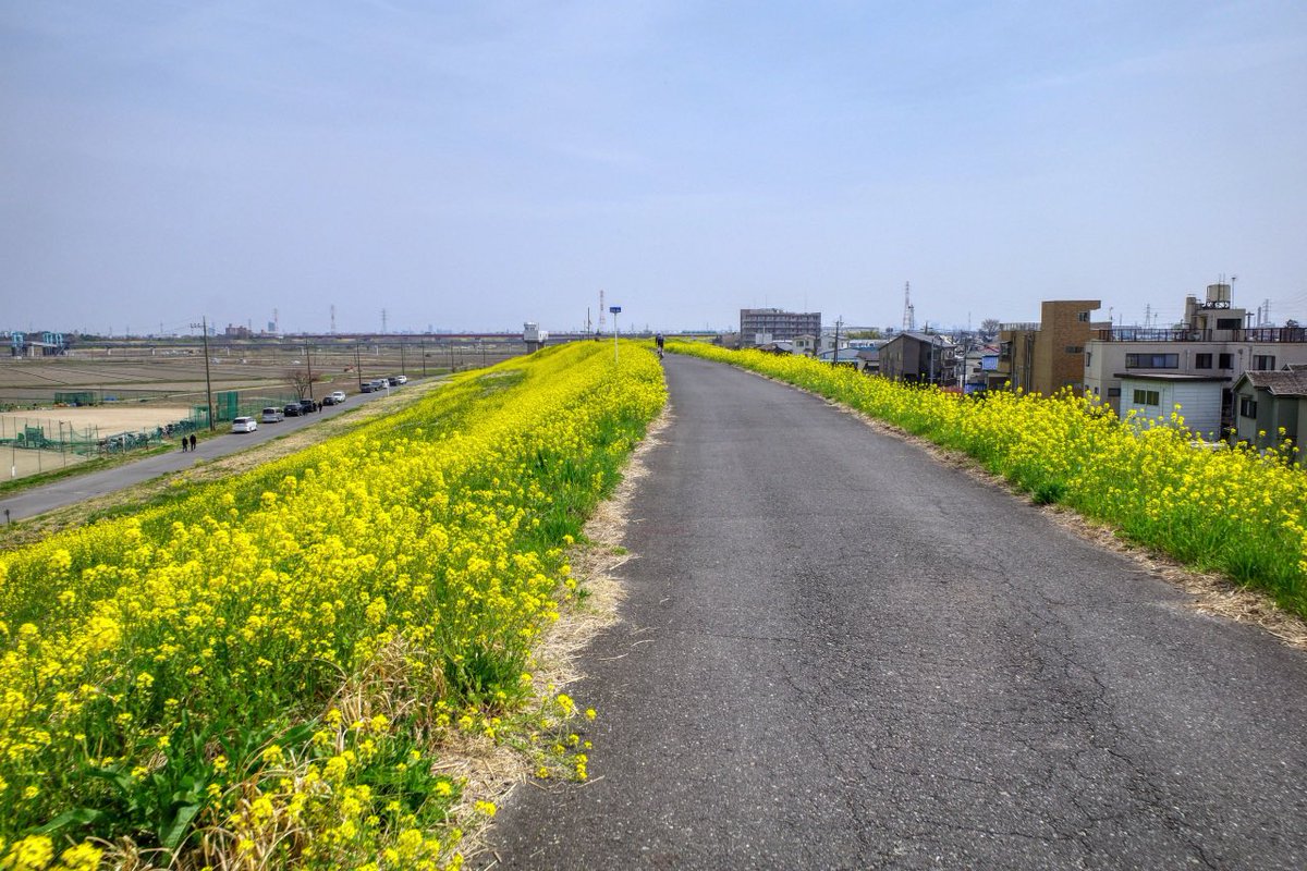 うなくーる tweet media