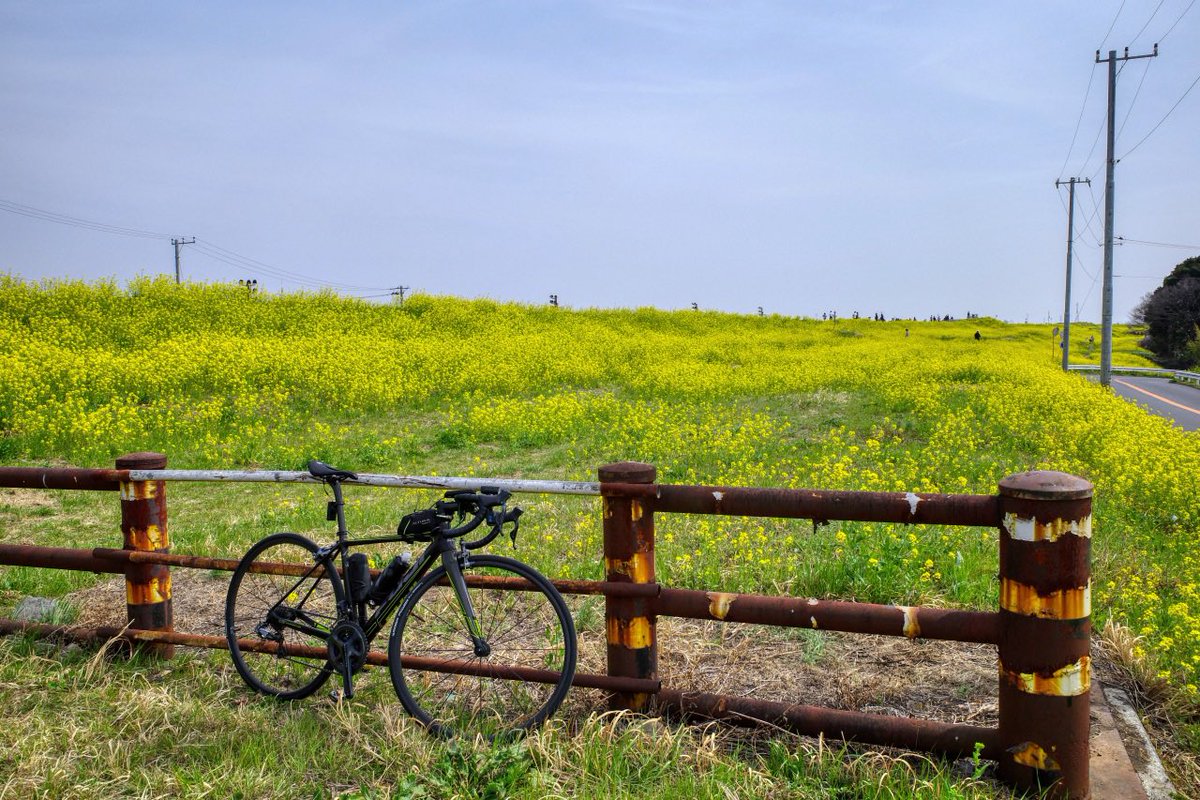 うなくーる tweet media